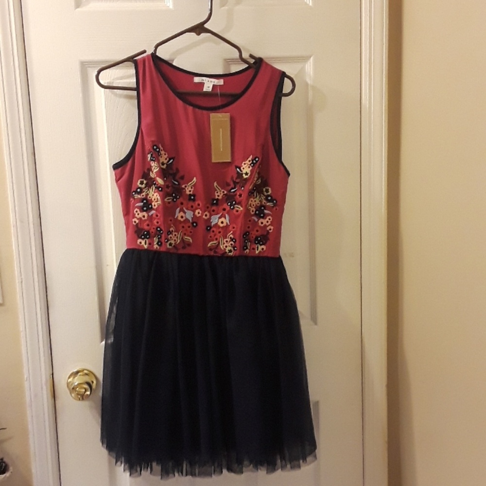 Francesca's collection dress
